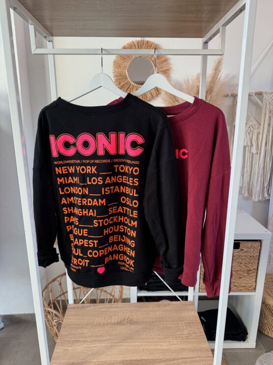 039 ✨ ICONIC Sweater – Dein Statement-Liebling ✨